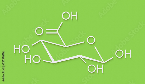 Glucuronic acid molecule. Glucuronidation of xenobiotics plays role in drug metabolism, giving glucuronides. Skeletal formula. photo