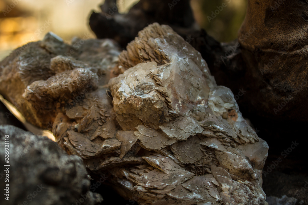 beautiful brown mineral beautiful brown mineral