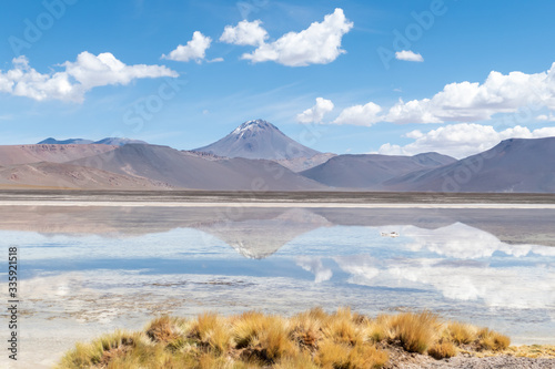 Landscape reflection in The Salar de Aguas Calientes Lagoon  San Pedro de Atacama  Chile