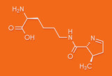 Pyrrolysine (l-pyrrolysine, Pyl, O) amino acid molecule. Skeletal formula.