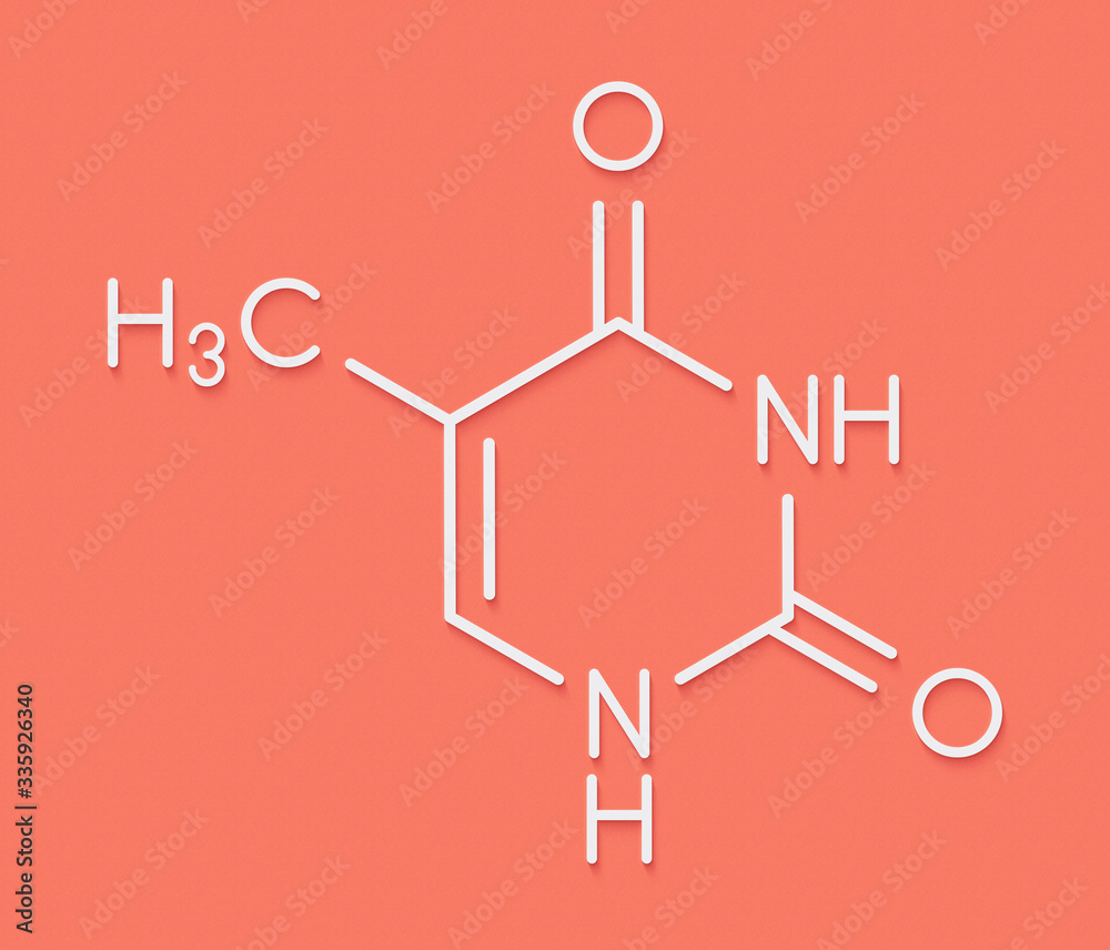 Thymine (T) nucleobase molecule. present in DNA. Skeletal formula