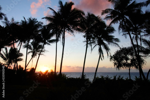 Beautiful Hawaii nature background with ocean. Scenic landscape with cloudy sunrise and palm trees silhouettes in a foreground. Hawaii Big Island, USA.