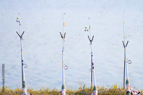 Fishing rod catches fish at the lake. spinning for fishing.