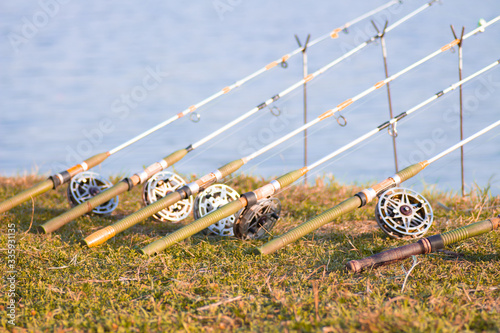Fishing rod catches fish at the lake. spinning for fishing.
