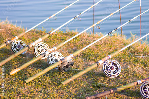 Fishing rod catches fish at the lake. spinning for fishing.