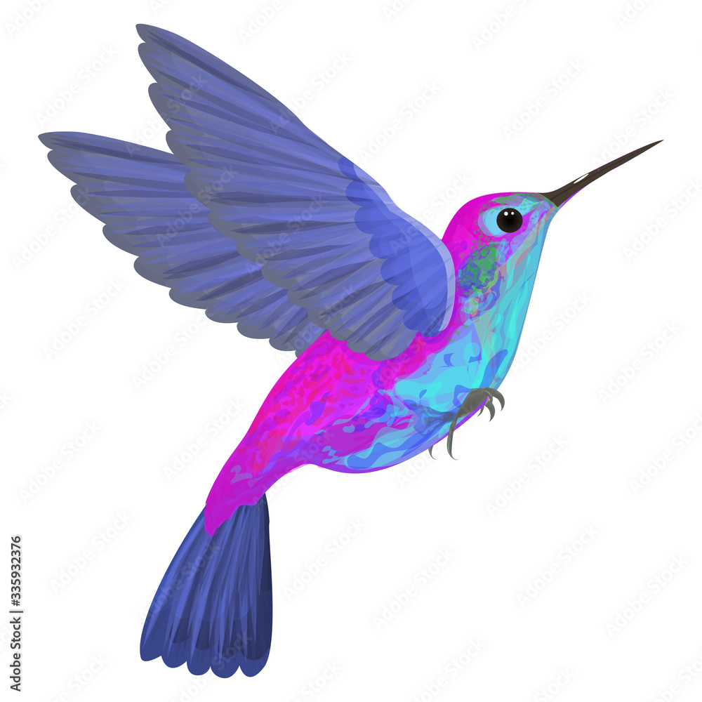 Obraz premium Hummingbird isolated. Vector illustration. EPS 10