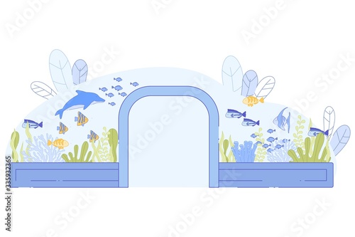 Glass Tunnel in Aquarium Fish Dolphin Swimming