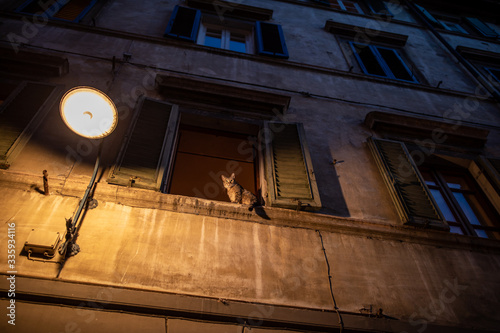 Streets of Lucca, Tuscany, Italy, at dusk