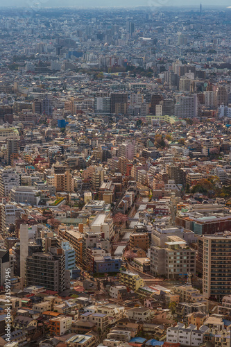 Tokyo endless suburbs, a wall of concrete buildings. View of Shinjuku, Nagano e Suginami district from above