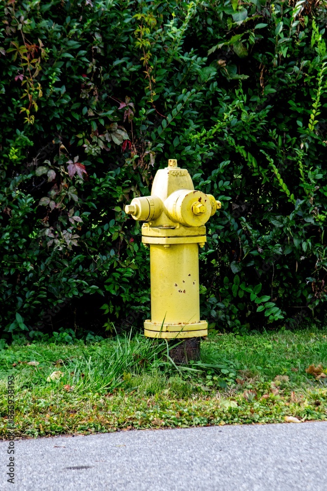 FIRE HYDRANT painted in yellow on a town street 
