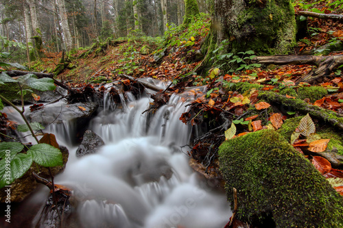 River in mountain in autumn with yellow foliage