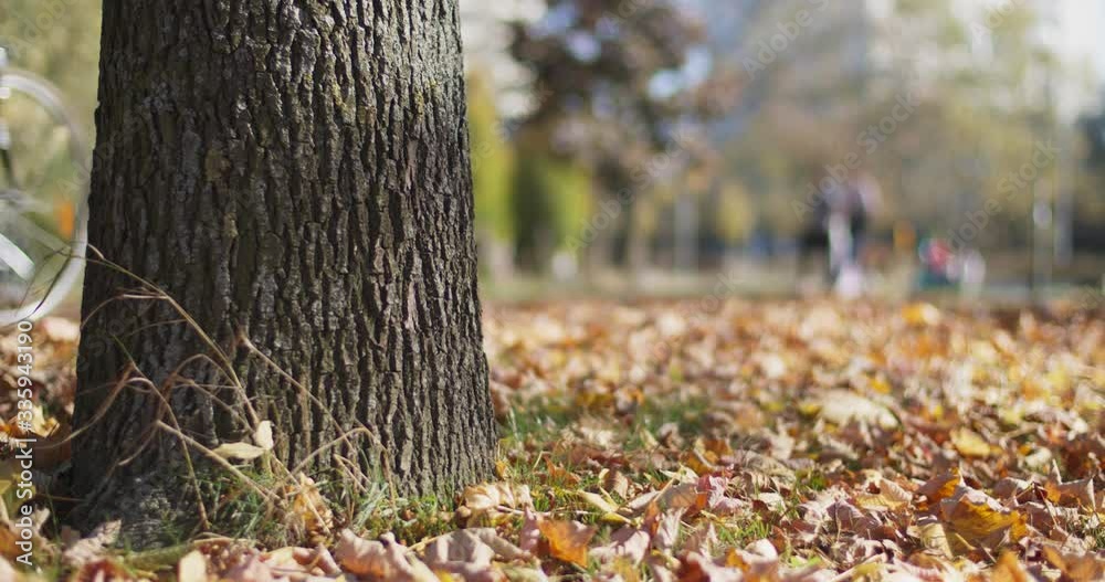 Friends and families walking at autumn city park. Close up low angle view with fallen dry leaves on the ground. People riding on scooter and bicycles. Fall season of sport activities and leisure time. Friends and families walking at autumn city park. Close up low angle view with fallen dry leaves on the ground. People riding on scooter and bicycles. Fall season of sport activities and leisure time.