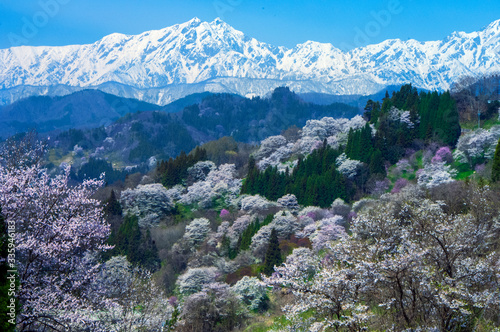 春の風景