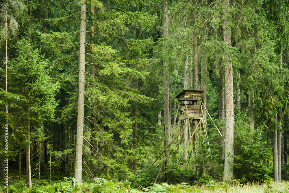 An elevated hunting blind in the forest An elevated hunting blind in the forest