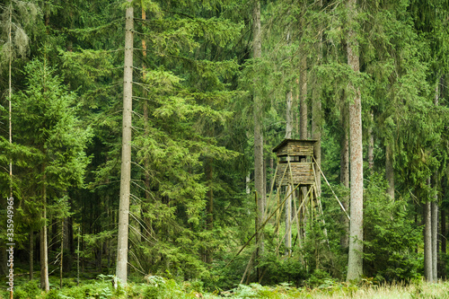 An elevated hunting blind in the forest