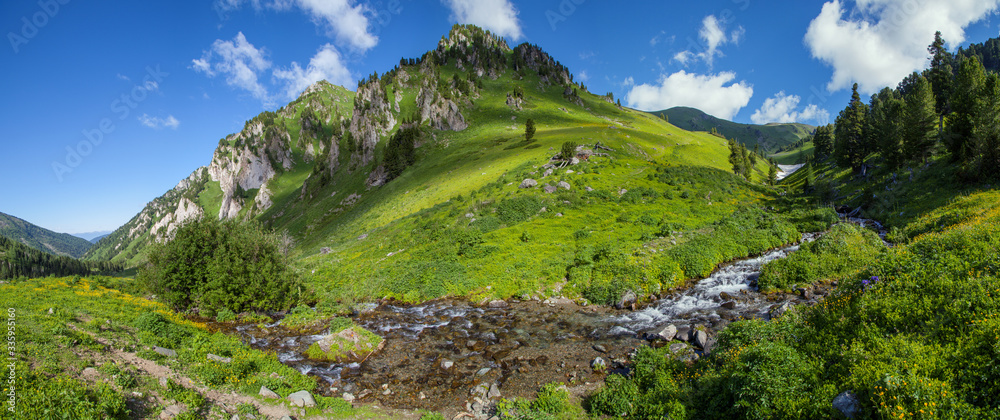 Obraz premium Panoramic view of a mountain valley, summer greens and pure mountain stream