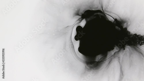 Black paint stream in water, ink cloud, abstract movements. Black dye on a white background.