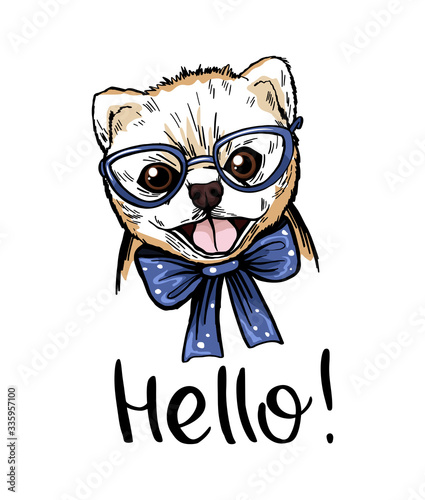 Pomeranian spitz puppy in blue glasses and a bow tie with the inscription hello. For printing postcards, prints for t-shirts, and other designs.