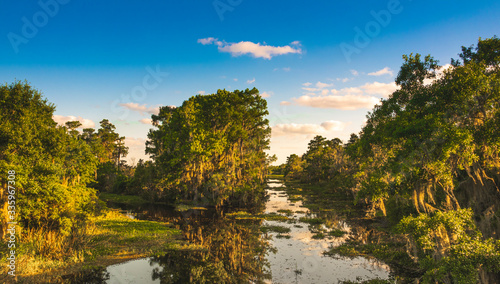 Bayou Coquille Swamp Overlook