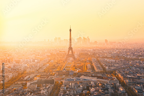 eiffel tower in paris © Mariano