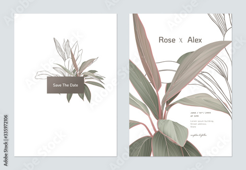 Foliage wedding invitation card template design, Cordyline fruticosa Firebrand plant on white