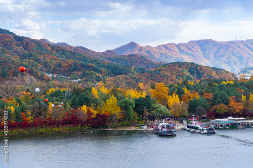 Autumn of Nami island in Seoul ,South Korea.