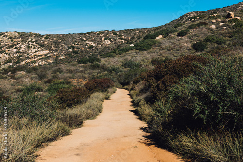 Hiking path upto the mountain surrounded by foliage and blue sky photo