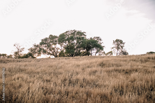 Sunset on the Hill 