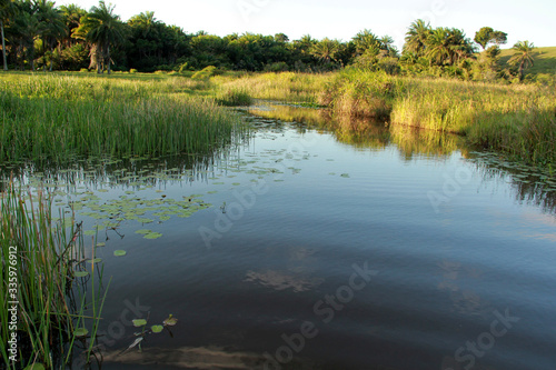 rio itapicuru in conde photo