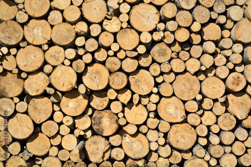 Forestry industrial concept background. Round sawing logs are stacked in a large pile