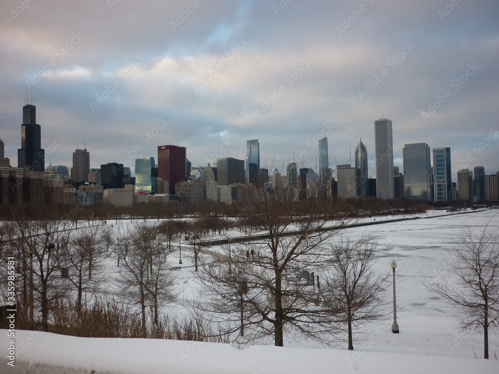 Obraz premium Mrożone Chicago