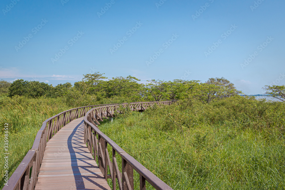 Walking path at Isla Santay in Guayaquil