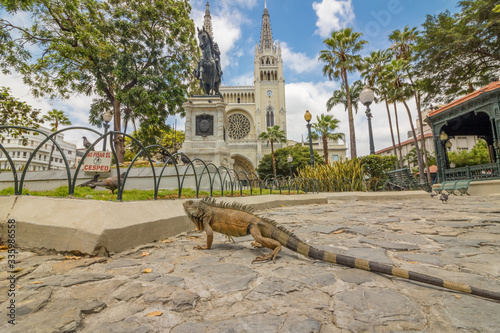 Parque de las Iguanas Guayaquil photo