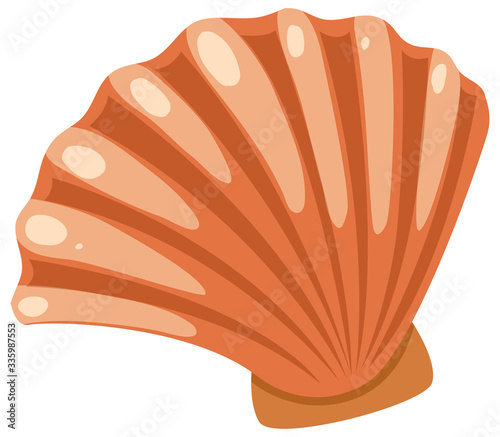 Brown seashell on white background