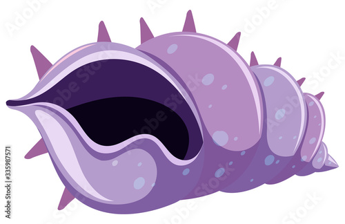 Purple seashell on white background