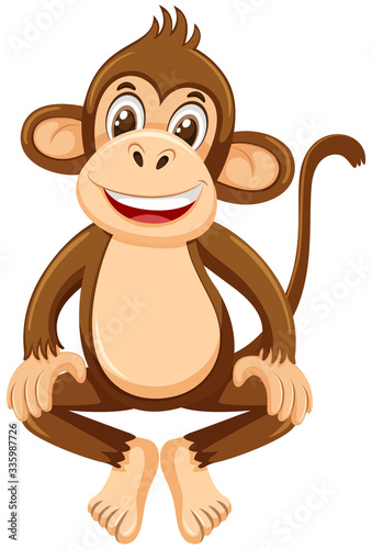 Cute monkey on white background