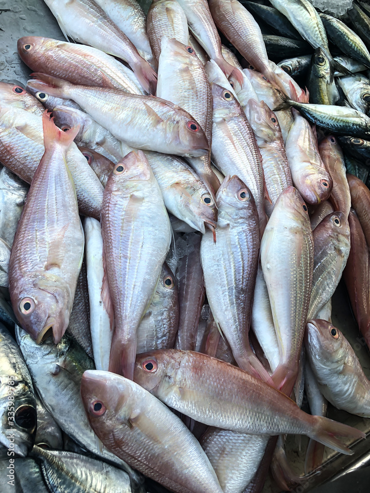 Photo of fresh fish on the counter supermarket Photo of fresh fish on the counter supermarket
