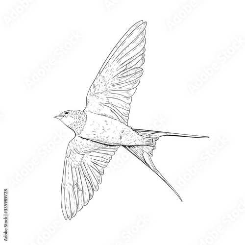 Black and white drawing of a flying swallow
