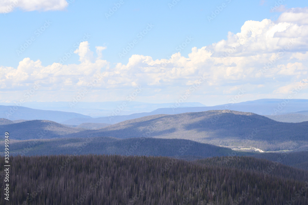 A view of the side of the Colorado mountain. High quality photo