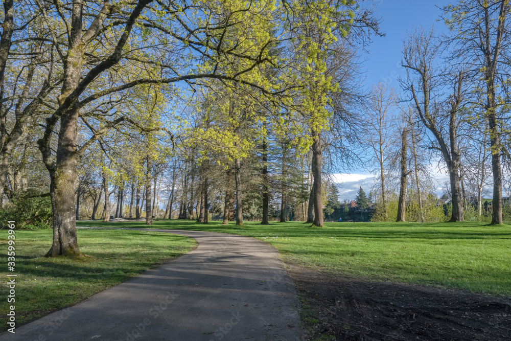 Public park landscape in Fairview Oregon.