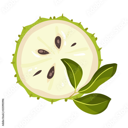 Halved Soursop Fruit or Guanabana with Dark Green Rind Covered with Thick Thorns Vector Illustration