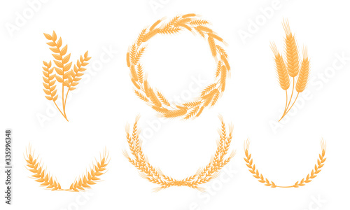 Stylized Wheat Head or Spikes Isolated on White Background Vector Set