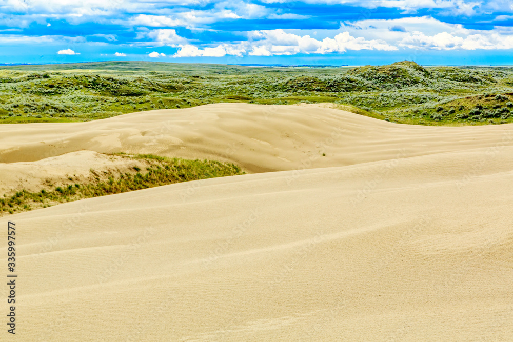 Obraz premium Great Sandhills