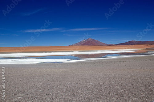 Santa Maria Lagoon at the Puna de Atacama with volcano Carachi Pampa in the background, Argentina photo