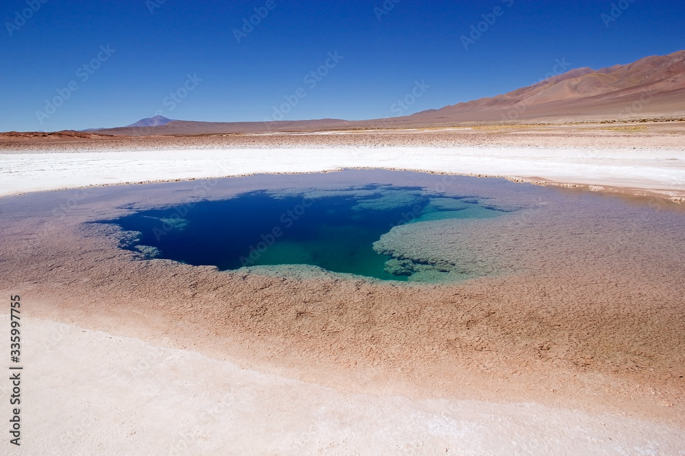 Ojos de Mar close to the town of Tolar Grande in Puna, Argentina