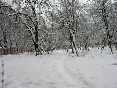 Winter © Anatolii