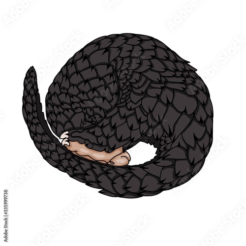 Simple design of illustration pangolin circular 