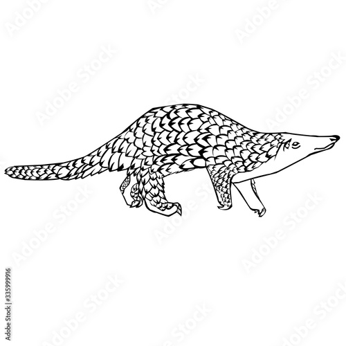 Sketch design of illustration pangolin 