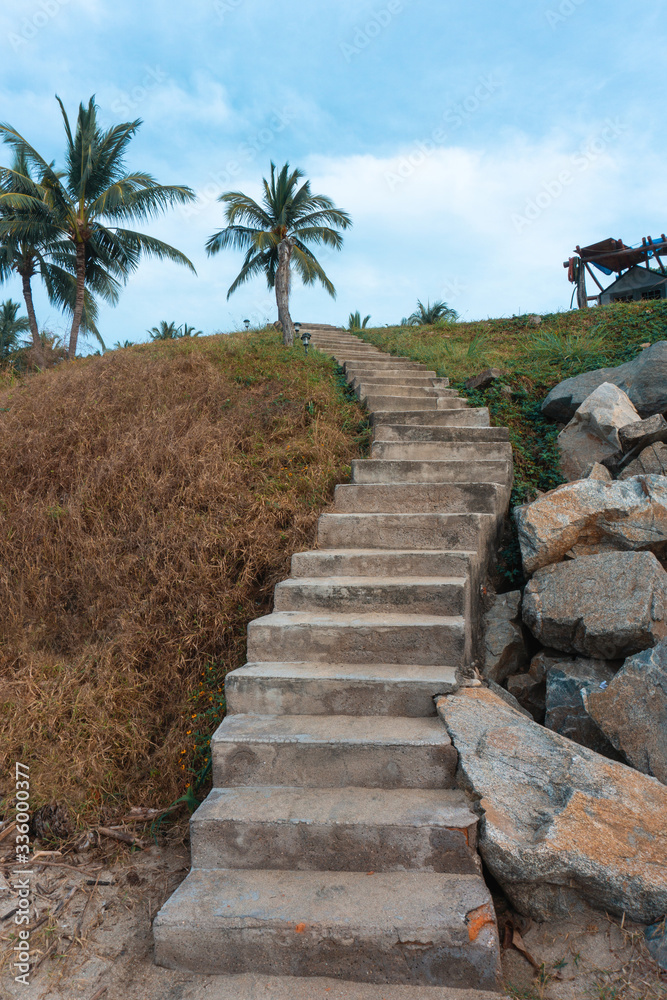 Rustic Stairs in Tropical zone in Mexican Beach.