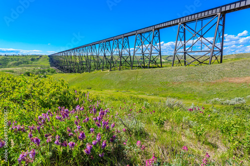 Tall Train Bridge photo